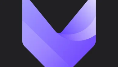 VivaCut Logo.webp