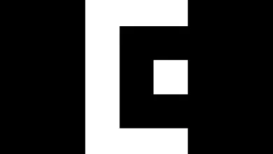 EPIK Logo.webp