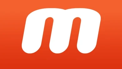 Mobizen Screen Recorder Logo.webp