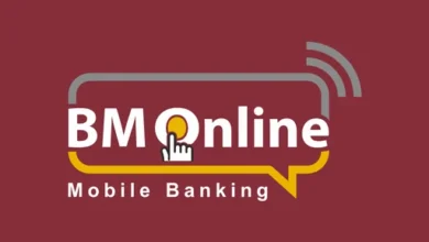 BM Online Logo.webp