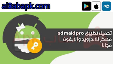 sd maid pro