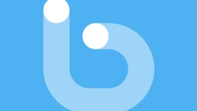 Botim Logo.webp