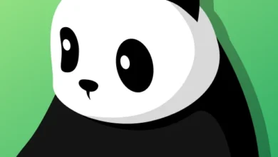 Panda VPN Logo.webp